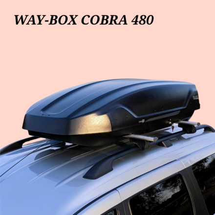 Автобокс Way box Cobra 480 черный. Размер 180*85*40 см.