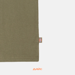 Футболка мужская Dickies Clancy Heavyweight