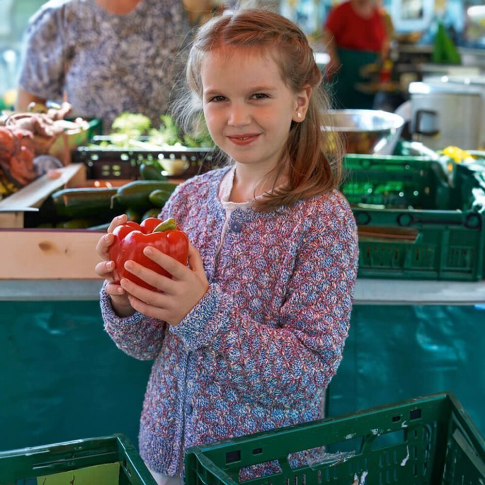 Пряжа Schachenmayr Color Breeze (87)