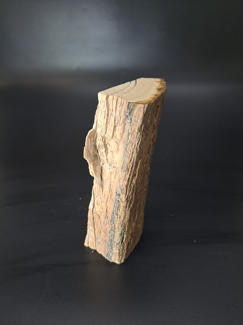 Бивень мамонта для коллекции и поделок