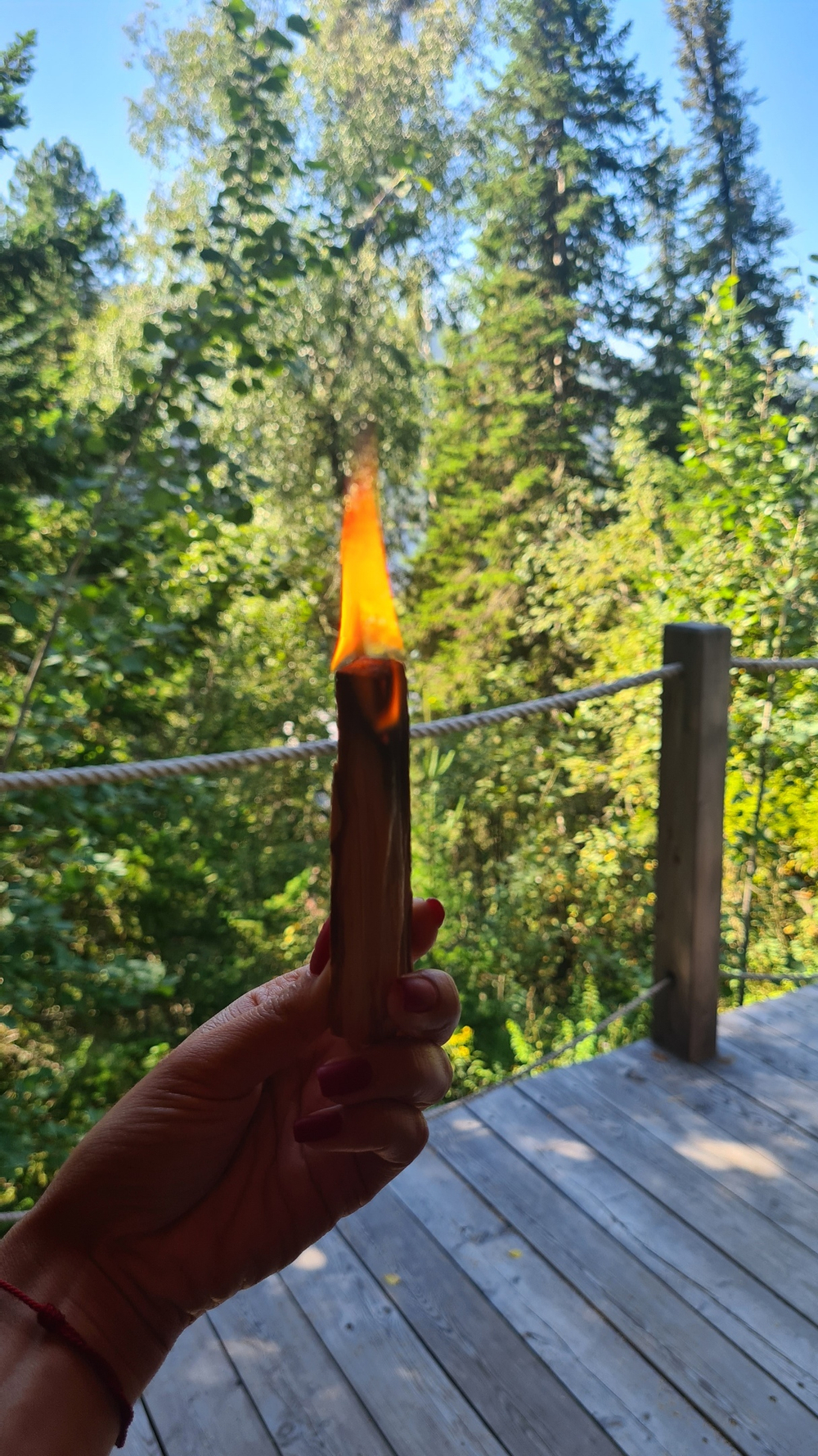 Пало санто Premium