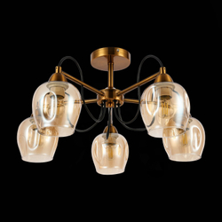 Светильник потолочный Evoluce Acro SLE110002-05