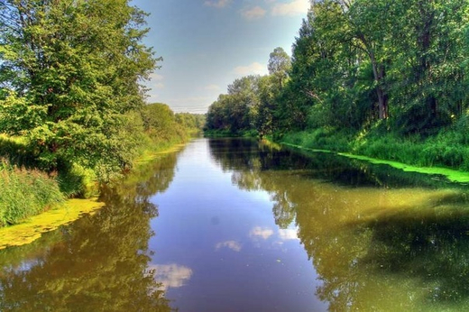 САП тур: Гусенки - Юдино