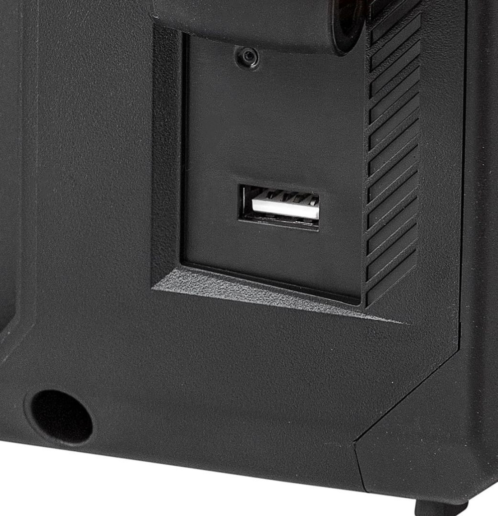 Аккумуляторное bluetooth-радио PJS20H-10A SOLO