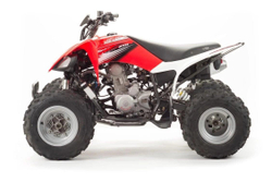 Квадроцикл Motoland 250S