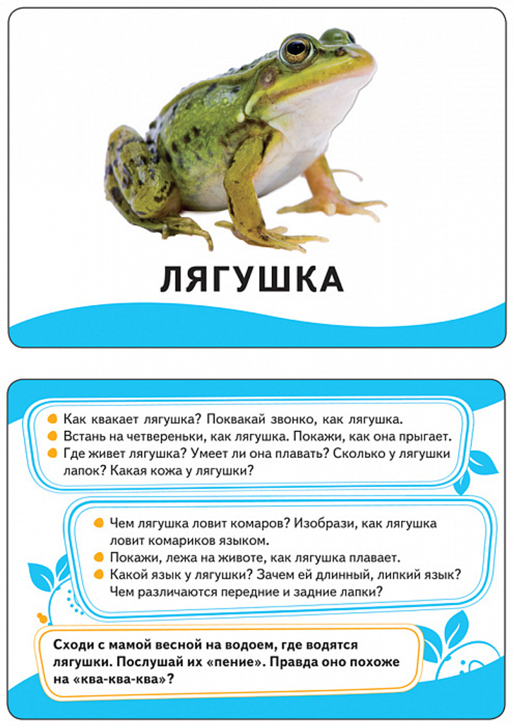 Животные (Разв.карточки 0+)/Росмэн/КН. 4680010499795