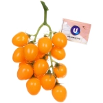 Муляж «Ветка помидоры Черри желтые» 22см