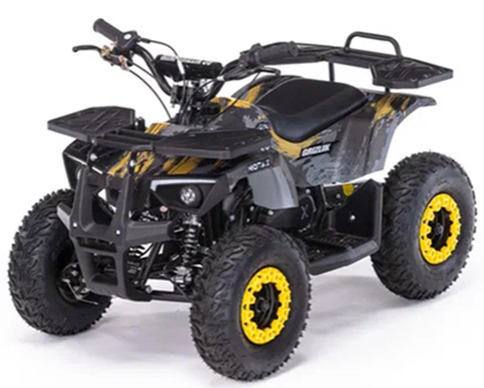 Детский бензиновый квадроцикл MOTAX GRIZLIK MINI PS BW