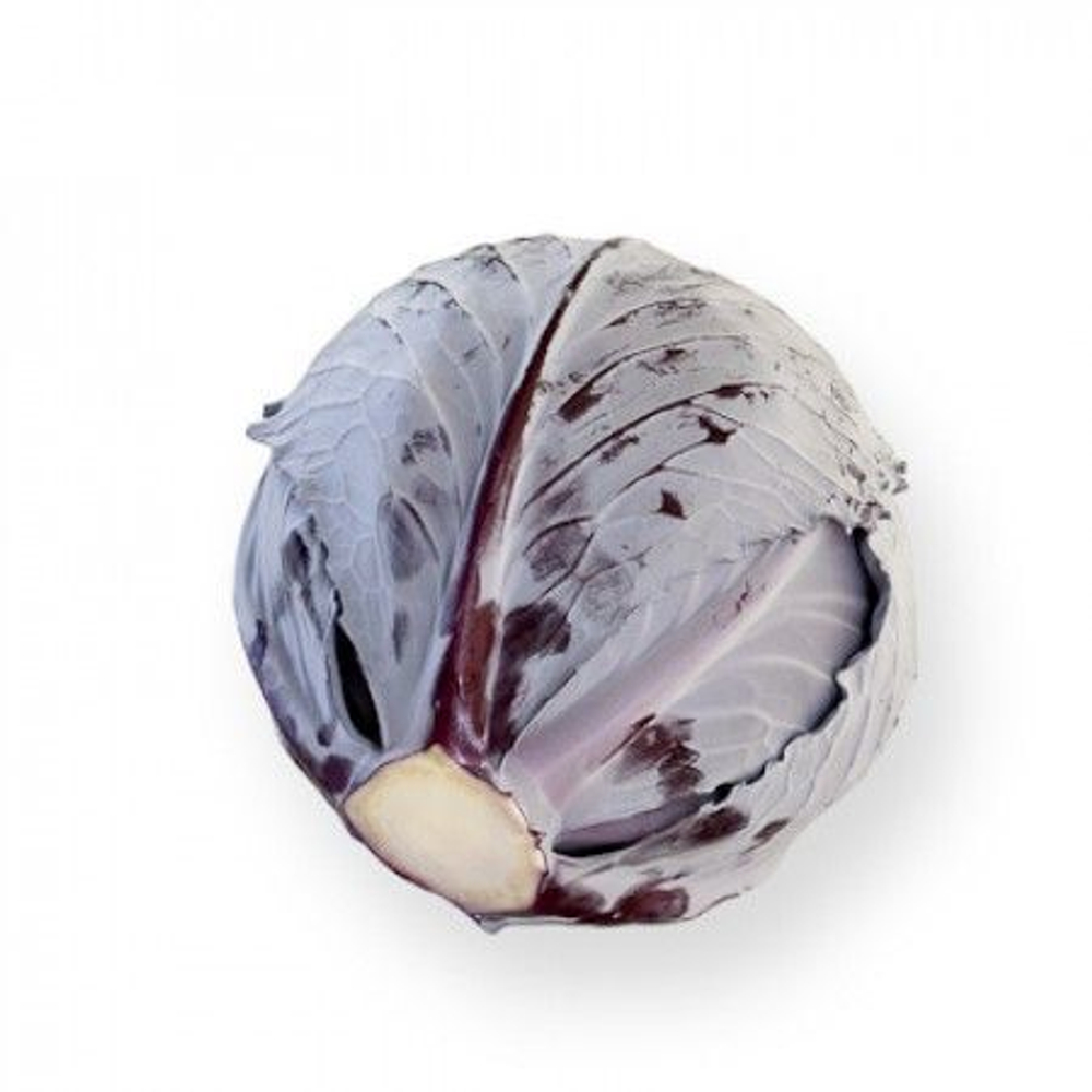 Рексома F1 семена капусты краснокочанной (Rijk Zwaan / Райк Цваан)