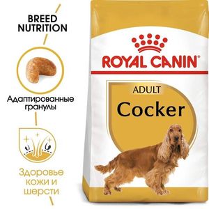 Корм для взрослых собак породы кокер-спаниель, Royal Canin Cocker Adult