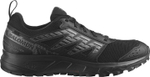 Ботинки Salomon SHOES WANDER Black/Pewter/Frost Gray