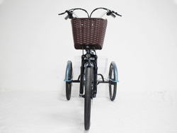 Электровелосипед трицикл GreenCamel Трайк-B (R24 500W 48V 20Ah)