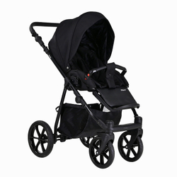 Детская коляска Pituso Tossa 2 в 1 TS/50/02 Black