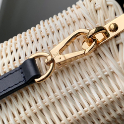 Louis Vuitton Capucines Mini