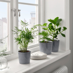 Горшок для растений IKEA FJARILSBUSKE (ФЬЯРИЛСБУСКЕ), Серый, 9 см