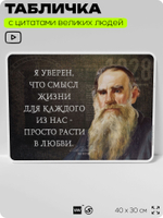 Литературный постер с цитатой Л. Н. Толстого для школы, на стену, на пластике, для интерьера, 40х30 см, Silver Plane x Айдентика Технолоджи