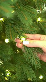 Елка с гирляндой «Русская» (Литая хвоя) 240 см / 2,4 м