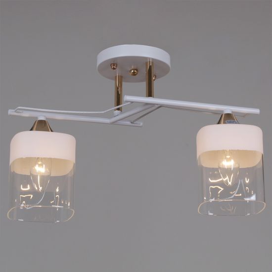 06096-0.3-02 WH+FG светильник потолочный