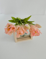 Тюльпаны бахромчатые / Арт 2545