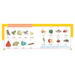 Альбом по развитию речи, Володина В.С., 32935