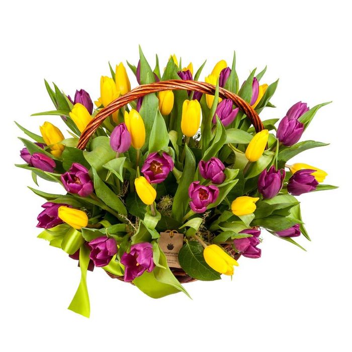Корзина жёлтых и фиолетовых тюльпанов