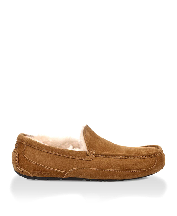 ASCOT MENS chestnut