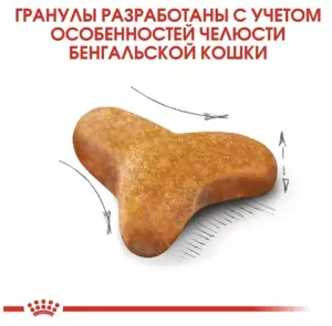 Корм для кошек бенгальской породы, Royal Canin Bengal, в возрасте от 1 года и старше