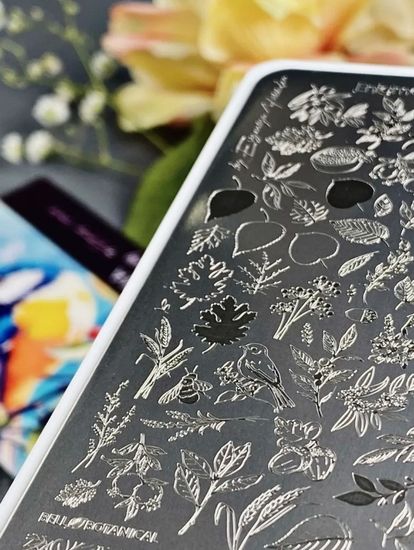 Пластина для стемпинга Enigma Stamping №030