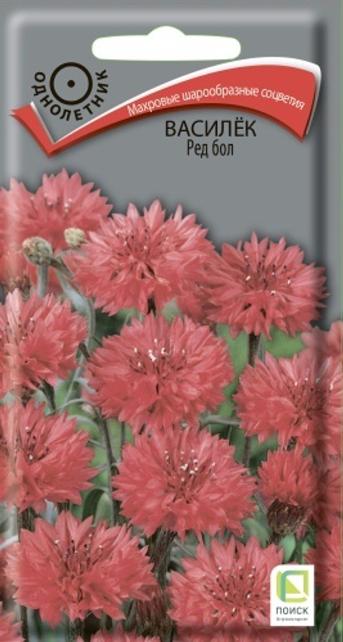 Василек Ред бол 1гр Поиск