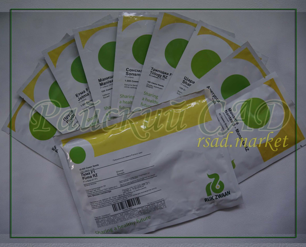 Свекла Цеппо F1 Rijk Zwaan 3гр.