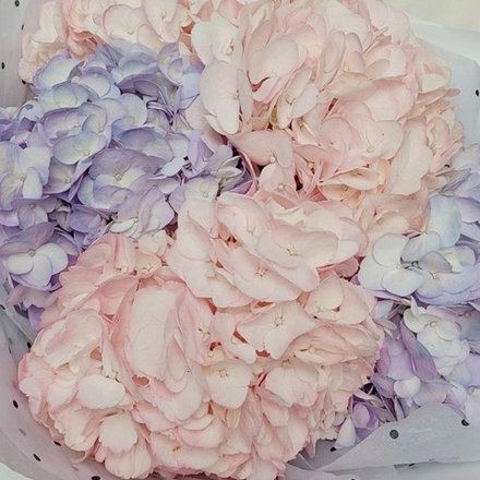 Соберу букет №248