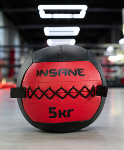 Медбол IN24-WB100, 5 кг, красный