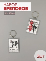 Набор брелоков акриловых "Карате киокушинкай, Каратисты", прямоугольных 56х40мм, 2шт.