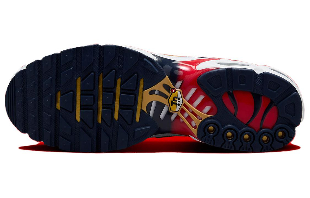 Nike Air Max Plus PSG