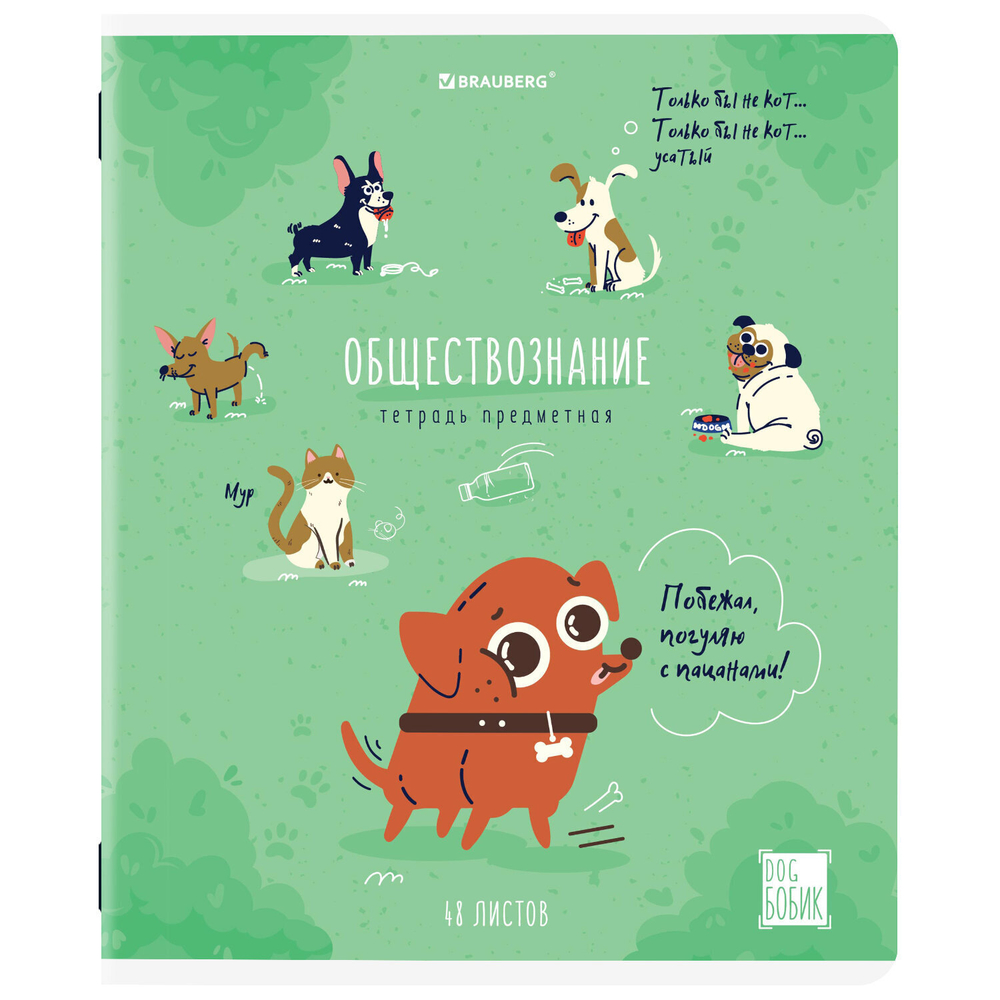Тетради предметные комплект 12 ПРЕДМЕТОВ 48 л. TWIN-лак BRAUBERG "DOG БОБИК" (2 штуки в упаковке)