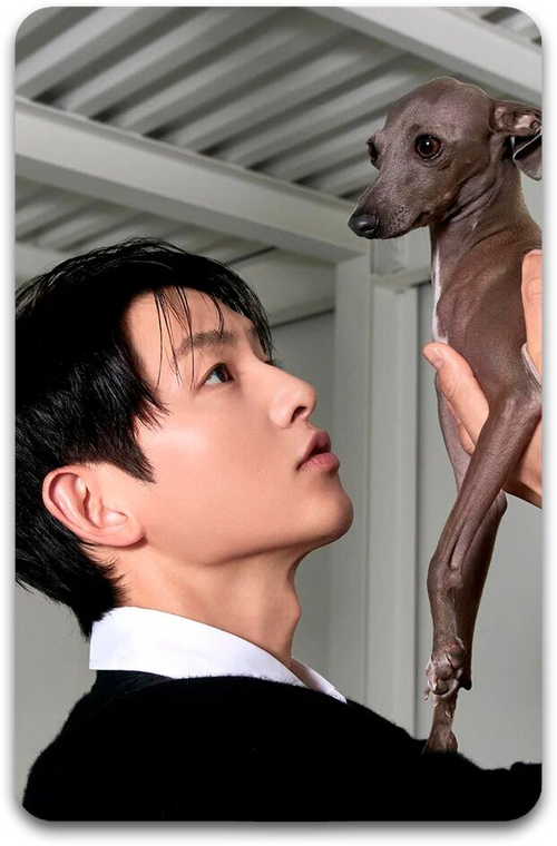 Карта #1956 / Song Joongki