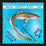 СССР 1991 г № 6279-6283 Серия Фауна Черного моря Чистая MNH **