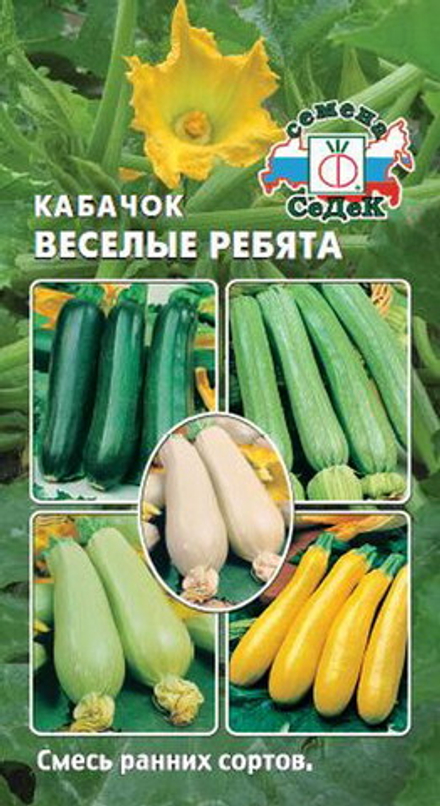 Кабачок Веселые Ребята 2гр Седек