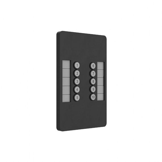 Пульт SnakeSys 10Scene Wall Plate (Dual Pack)