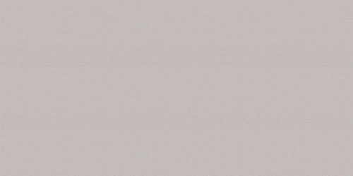 Megapolis Gray WT9MEG15 Плитка настенная 249*500*7.5