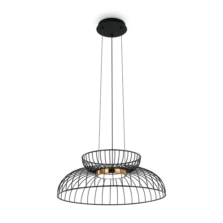 Подвесной светодиодный светильник Freya Citrus FR5398PL-L6B