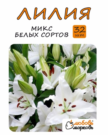 Лилия Луковица, Микс белые сорта, 32шт