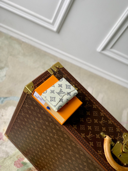 Louis Vuitton Pocket Organizer
