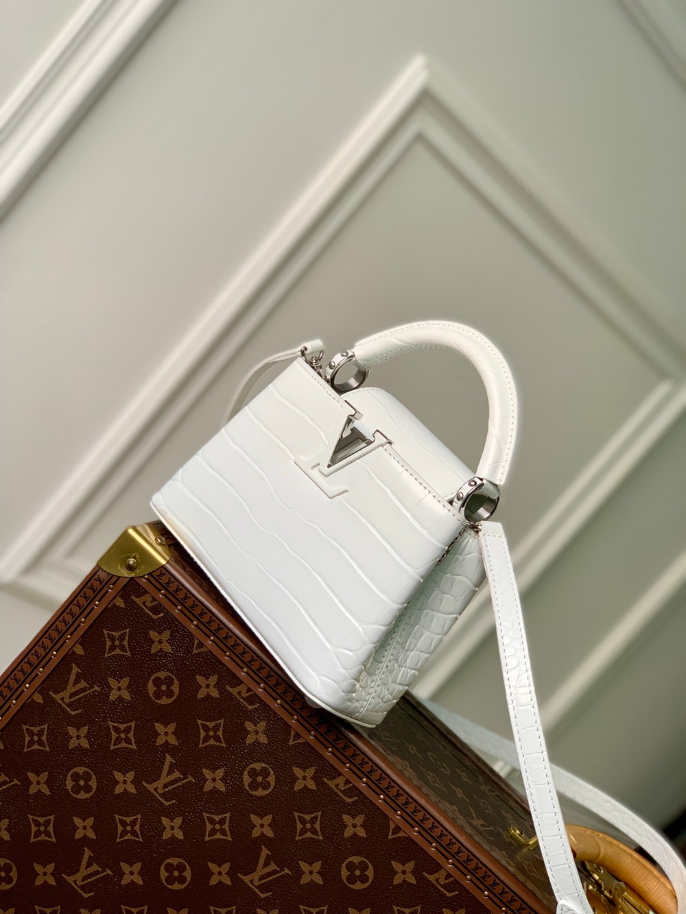 Louis Vuitton Capucines Mini