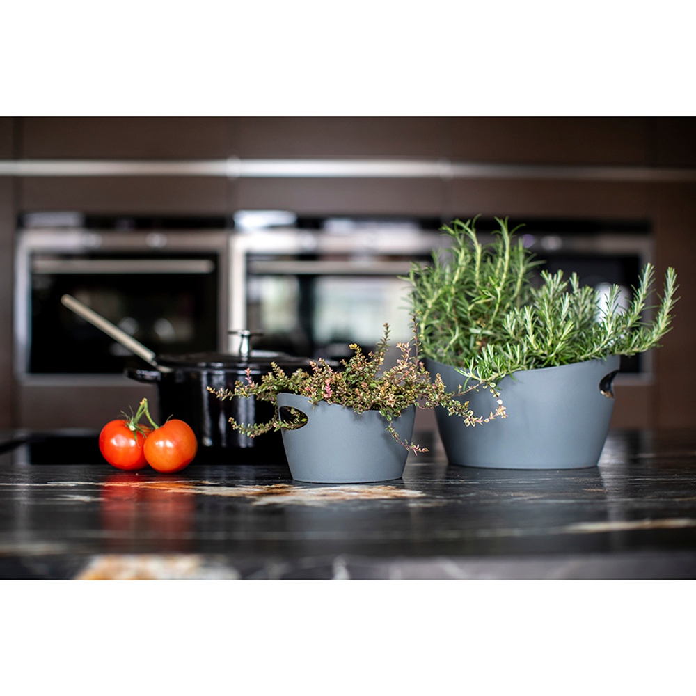 Контейнер для хранения bottichelli, 450 мл, белый