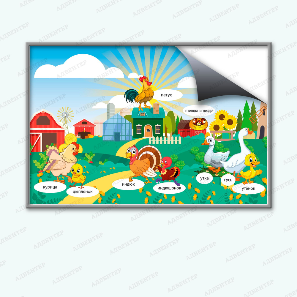 Комплект развивающий Ферма: Птицы 2147