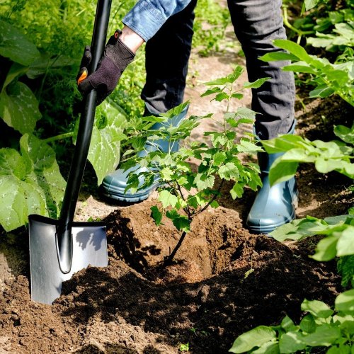 Лопата Plantic Terra штыковая   11005-01