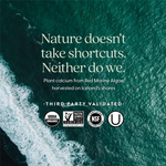 New Chapter, Bone Strength Take Care, добавка для укрепления костей с растительным кальцием, 240 вегетарианских мини-таблеток