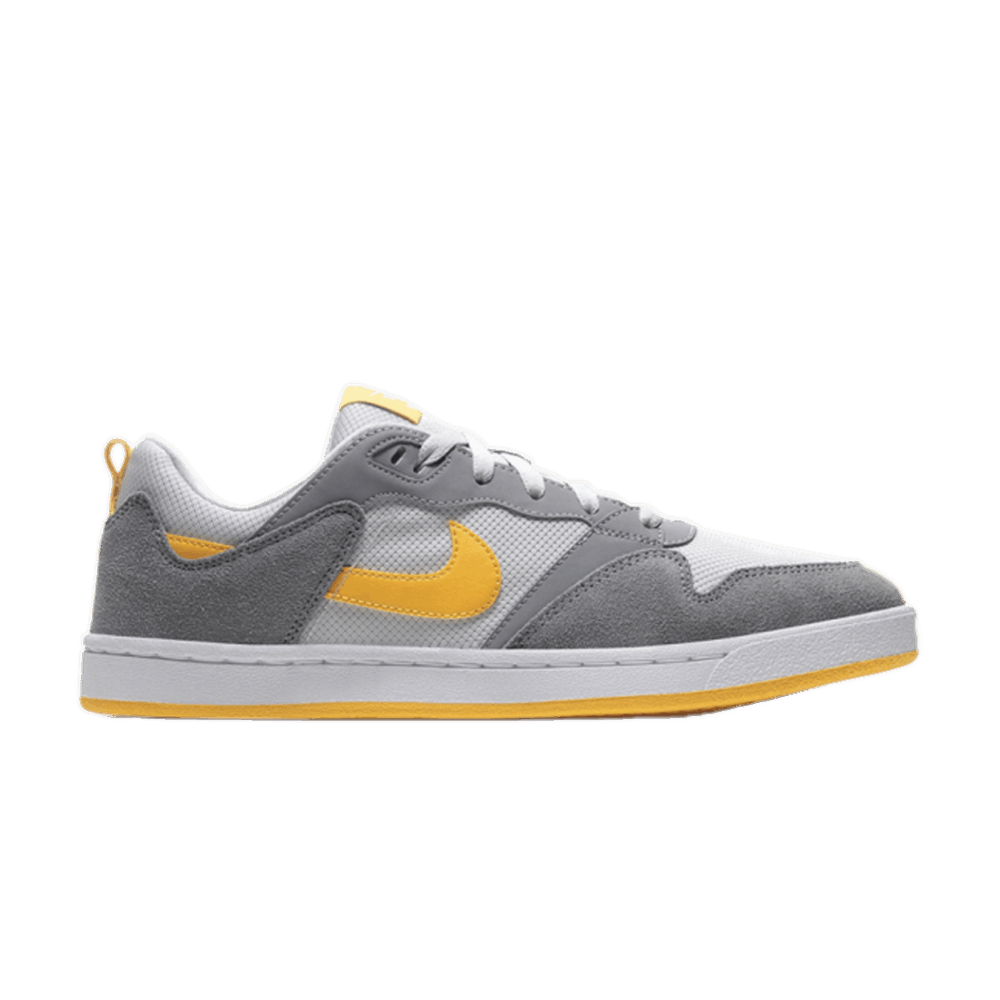 Кроссовки Nike Sb Alleyoop