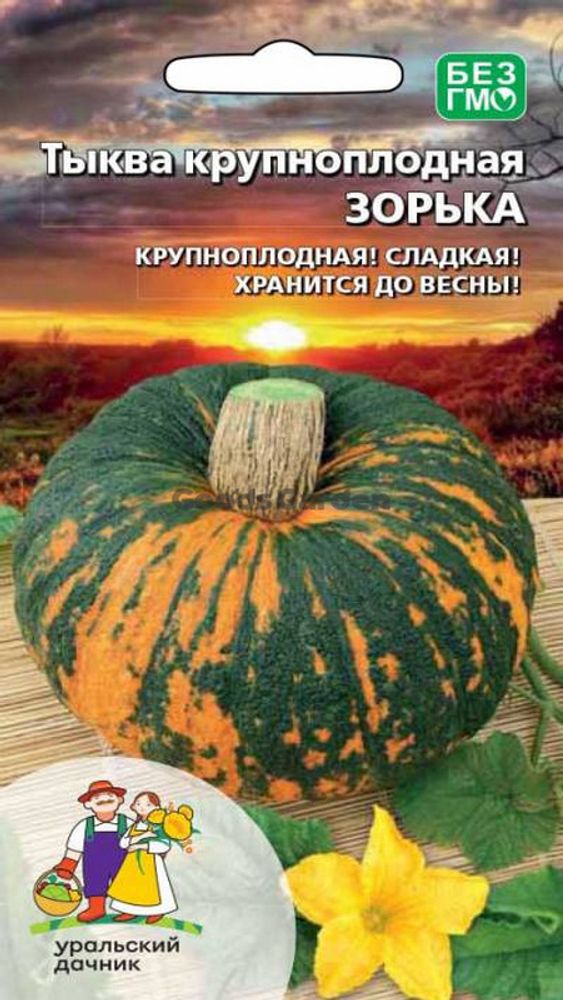 Тыква &quot;Зорька&quot; 6шт, Россия.